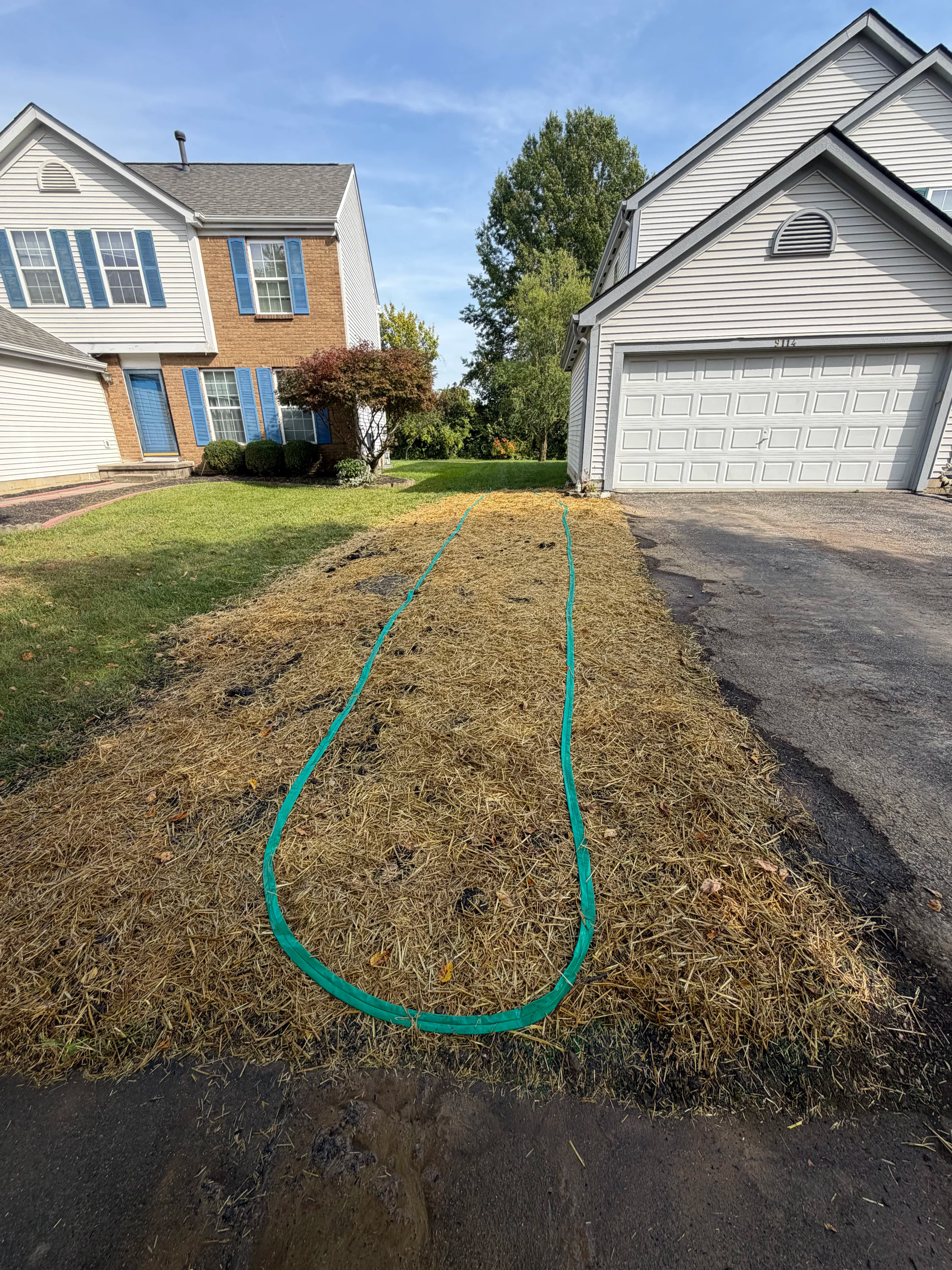 Project Buried Downspout Replacement and Full Lawn Regrade Fix image
