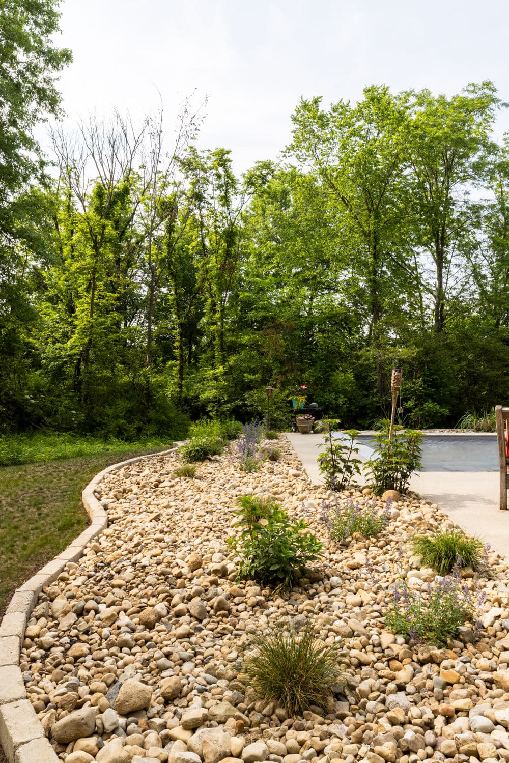 Landscape with river rocks, plants, and trees in a serene garden setting.