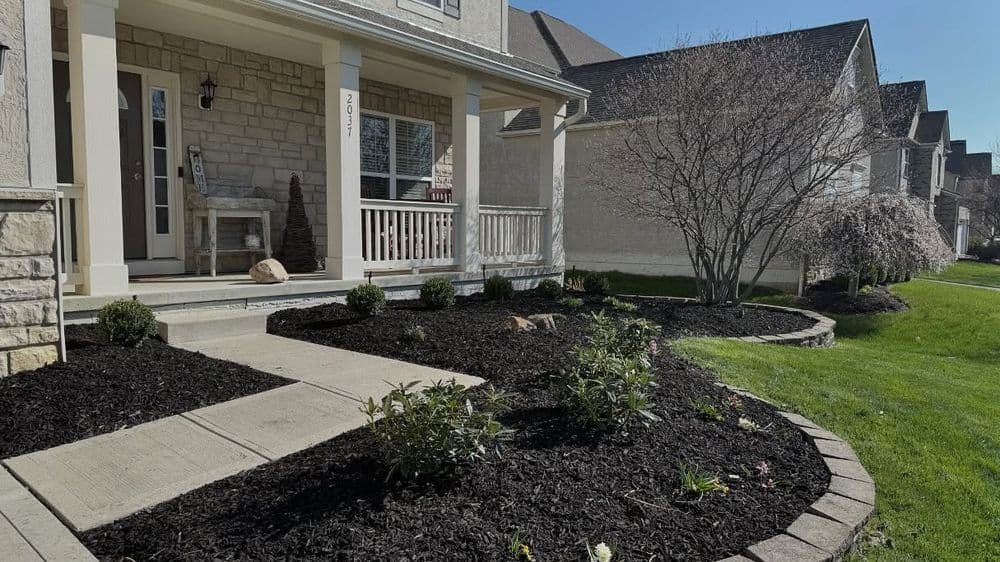Front porch with stone accents, decorative landscaping, and healthy greenery in a residential setting.